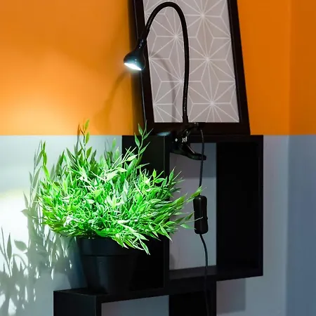 Tridente Apartment *